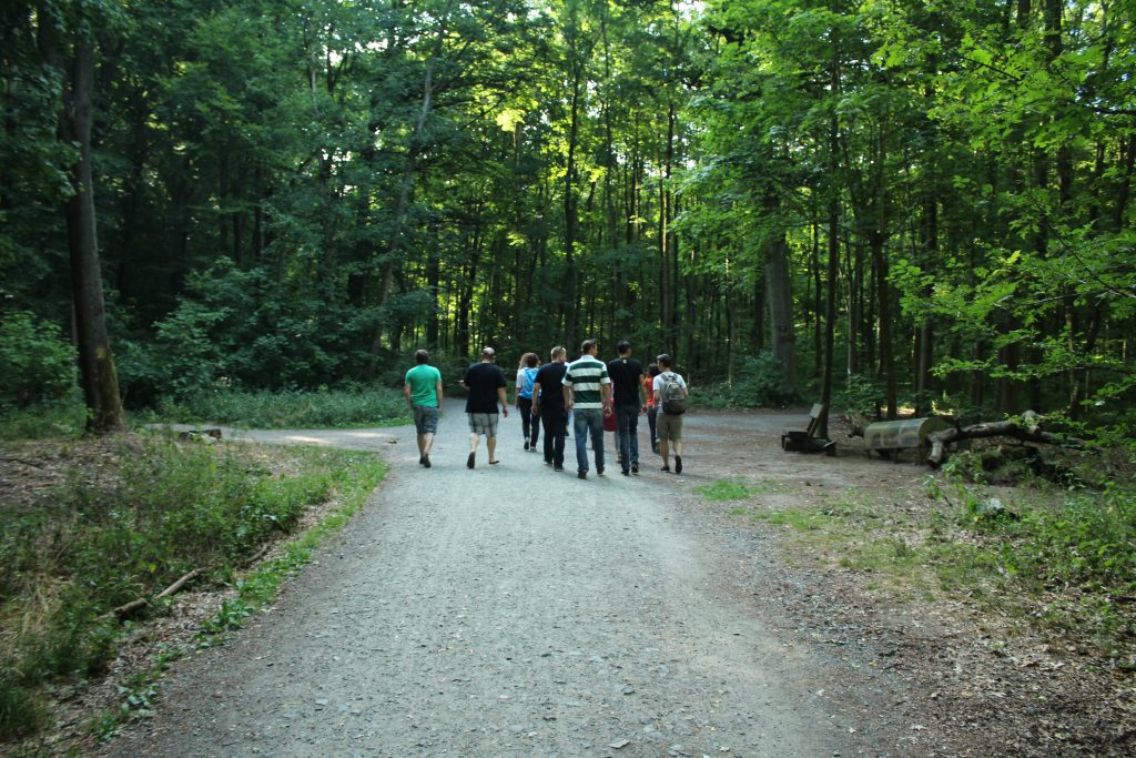 Orientierungslauf_BauEs_2-1024x683