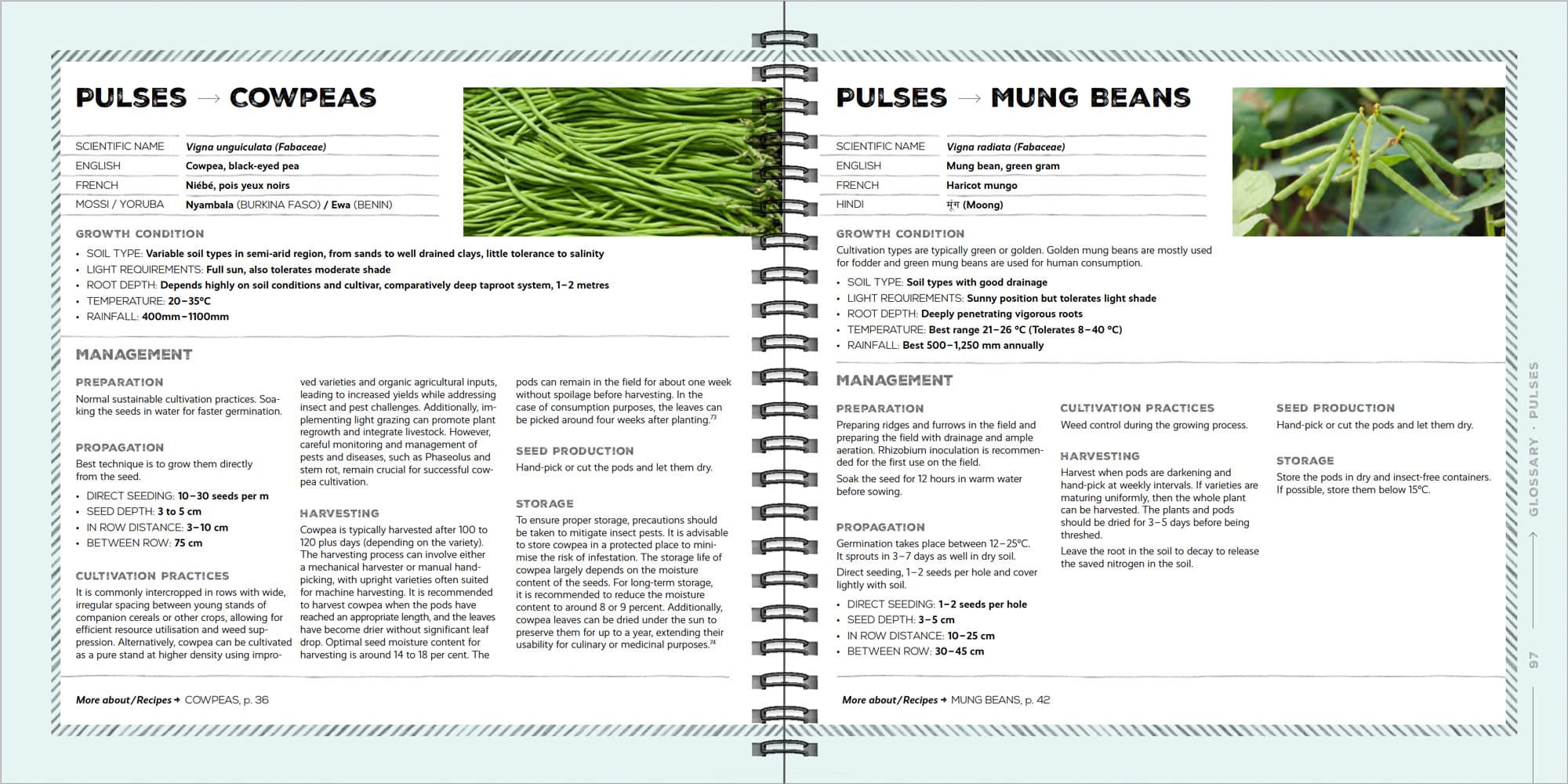 240320_AL-web-Portfolio_giz_cookbook_Bsp-17