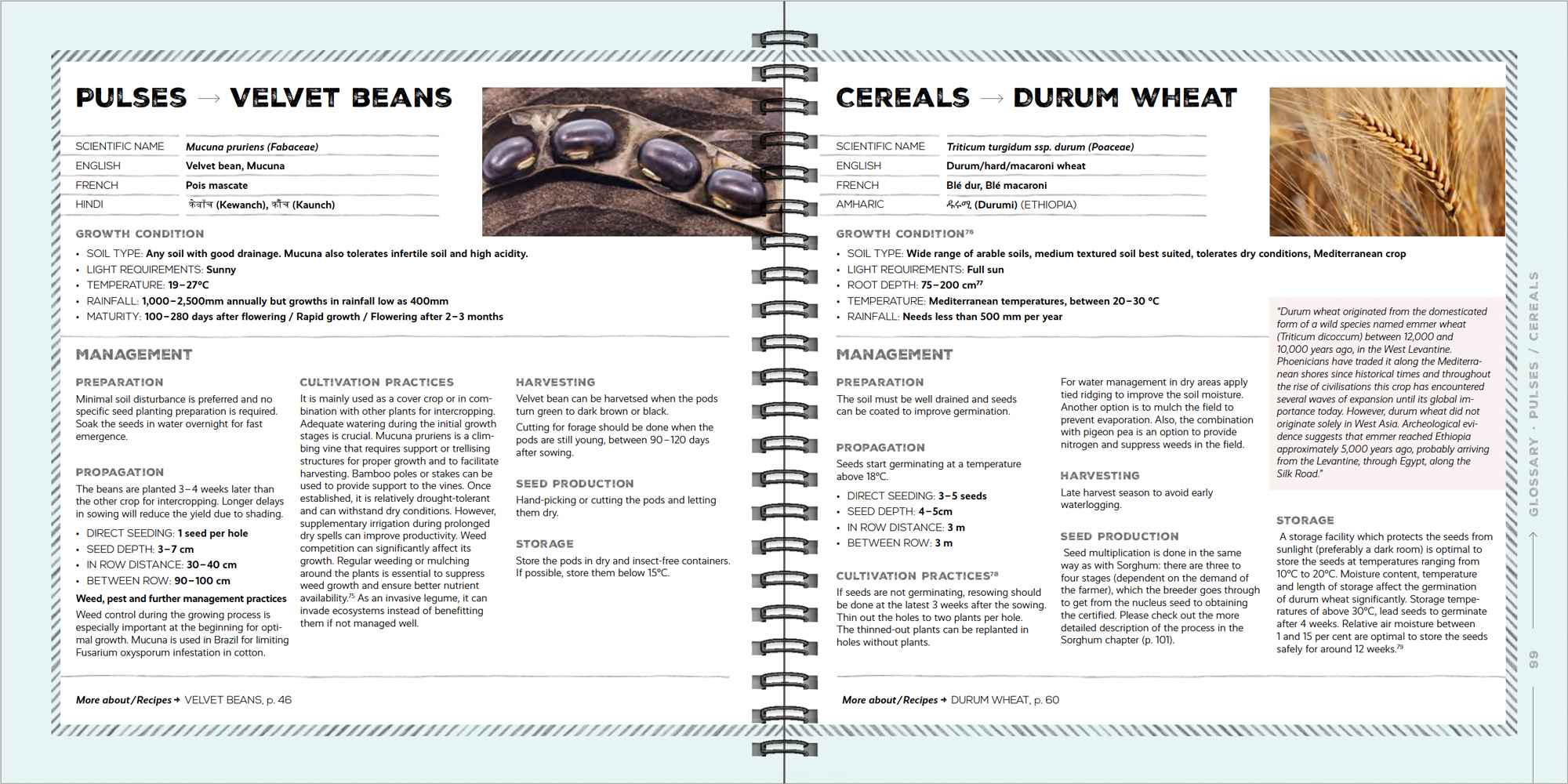 240320_AL-web-Portfolio_giz_cookbook_Bsp-18