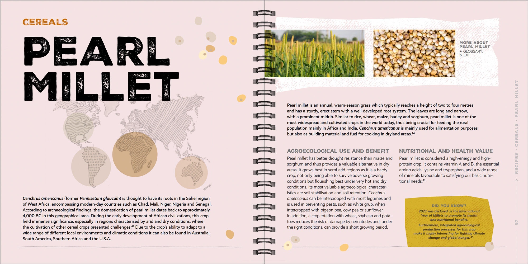 240320_AL-web-Portfolio_giz_cookbook_Bsp-14